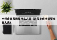 小程序開(kāi)發(fā)需要什么人員（開(kāi)發(fā)小程序需要哪些人員）