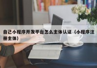 自己小程序開(kāi)發(fā)平臺(tái)怎么主體認(rèn)證（小程序注冊(cè)主體）