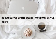 軟件開發(fā)行業(yè)的現狀和前景（軟件開發(fā)的行業(yè)分析）