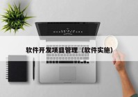 軟件開(kāi)發(fā)項(xiàng)目管理（軟件實(shí)施）