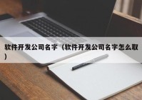 軟件開發(fā)公司名字（軟件開發(fā)公司名字怎么?。? /></a>
		</div>
		<div   id=