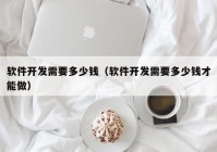軟件開(kāi)發(fā)需要多少錢（軟件開(kāi)發(fā)需要多少錢才能做）