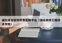 湖北綜合軟件開發(fā)定制平臺（湖北軟件工程技術學院）