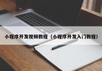 小程序開(kāi)發(fā)視頻教程（小程序開(kāi)發(fā)入門教程）