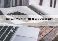 專(zhuān)業(yè)seo優(yōu)化公司（優(yōu)化seo公司哪家好）