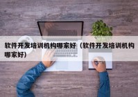 軟件開發(fā)培訓機構(gòu)哪家好（軟件開發(fā)培訓機構(gòu)哪家好）