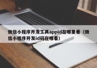 微信小程序開(kāi)發(fā)工具appid在哪里看（微信小程序開(kāi)發(fā)id碼在哪看）